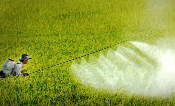 chương trình triễn lãm